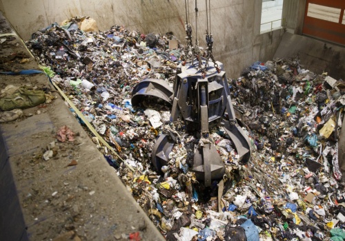 Tysiące osób wyrzuca to bez wiedzy. Skupy płacą ponad 400 zł za kilogram