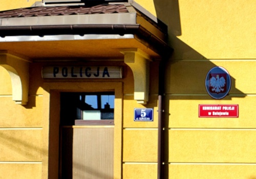 Poszukiwany przed policją uciekł na drzewo