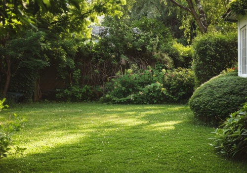 Twój ogród jest zacieniony? Te rośliny będą w nim bujnie rosły