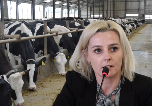 Koniec taniego mleka z Polski? Hodowcy muszą pilnie zmienić strategię