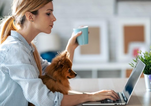 Ostatnie dni promocji w Santanderze. Nawet 3600 zł dla przedsiębiorców