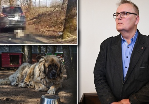 Pies zmarł ciągnięty za autem przez senatora PiS, Waldemara Bonkowskiego. Sąd darował mu karę