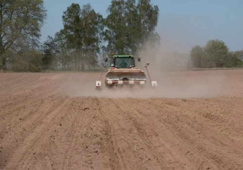 „Kukurydza może nie wzejść, rzepak jak zapałka”. Susza już niszczy uprawy