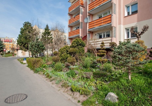 Mieszkańcy: Pielęgnowaliśmy to trzydzieści lat, teraz spółdzielnia każe wszystko usunąć