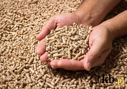 Kupujesz pellet? Jedna rzecz zdradza tragiczną jakość praktycznie od razu