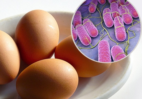Salmonella to groźna bakteria nie tylko z żywności. Takie są objawy zatrucia Salmonellą