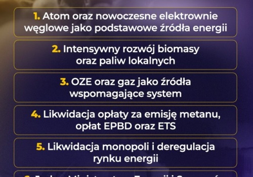 Tak trzeba zreformować polską energetykę!