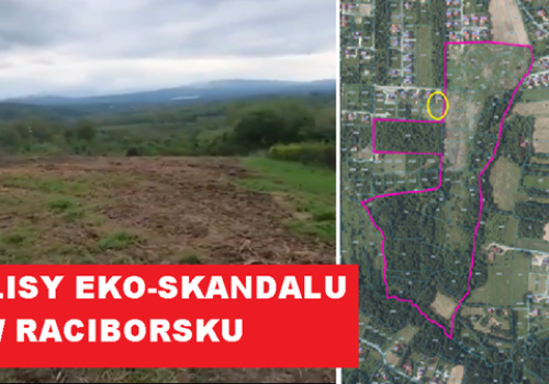 23 miliony za widok z okna? Kulisy eko-skandalu w Raciborsku