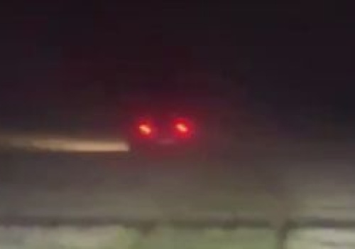 Uciekał przed policją. Ugrzązł w polu