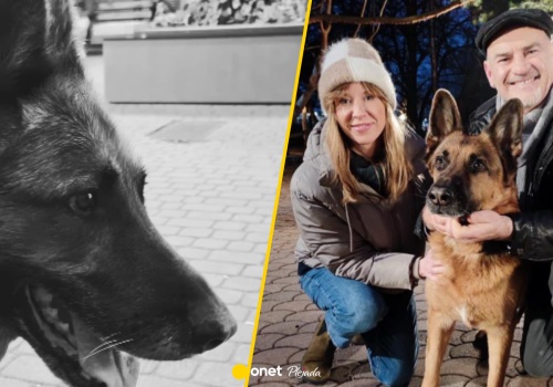 Smutna wiadomość z planu 