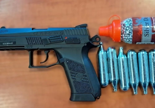 Irytowały go gołębie, bo zanieczyszczały parapet, więc zaczął do nich strzelać