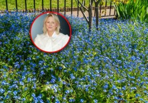 Zasiej zamiast trawy. Lista alternatyw od Mai Popielarskiej jest długa