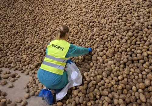 PIORiN sprawdza już nie tylko pola i magazyny. Zagląda też do internetu