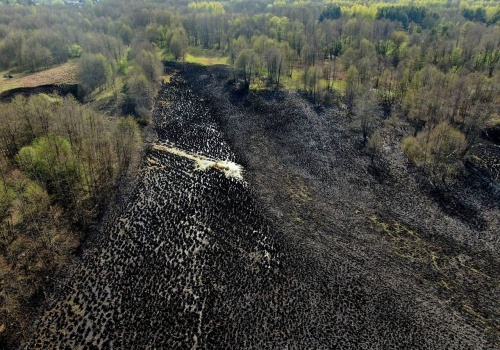 Pożar na podmokłym terenie, dojechać można było tylko quadem. Walka z ogniem trwała 5 godzin
