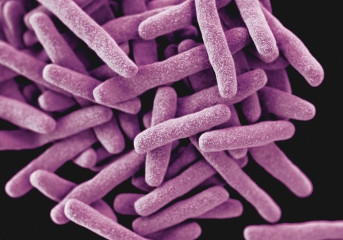 Nowe spojrzenie na działanie bakterii. Ma to znaczenie nie tylko dla rolnictwa