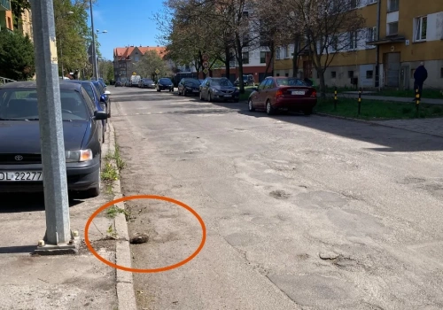 Apel mieszkanki osiedla Zosinek do kierowców - uważajcie na jeże! One giną pod kołami!