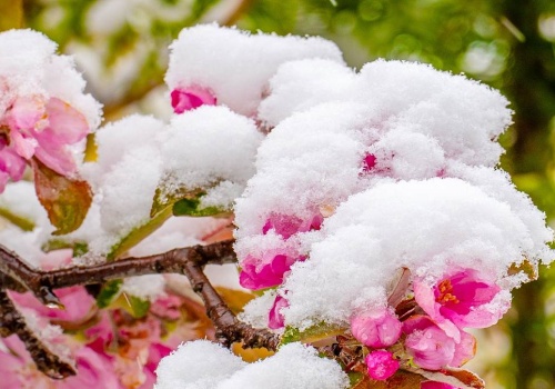 Najgorsza majówka od lat. Cała Polska będzie biała?