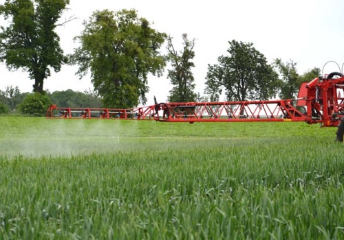 Jak utrzymać wysoką produktywność zbóż w Polsce? Innowacje w ochronie T1