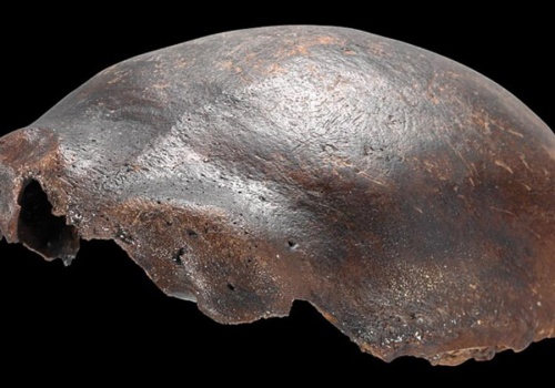 Hybryda człowieka z innym gatunkiem? Badania nad tym osobnikiem przyniosły szokującą odpowiedź