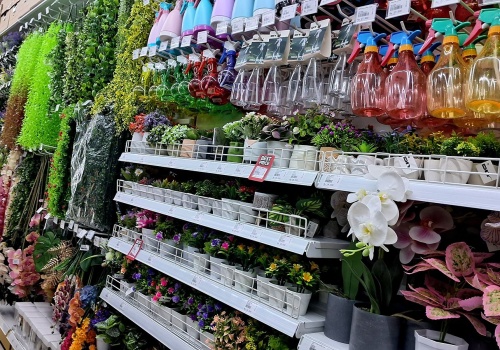 Nowy rywal dla Action i Pepco. Planuje otworzyć nawet 50 sklepów rocznie w Polsce