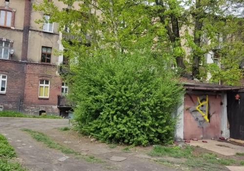 Absurd na ul. Lompy w Mysłowicach. Mieszkańcy przegrali z krzakami