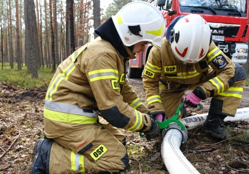 Nocny pożar w Siedlcach. Ogień w lesie przy ul. Żuławskiej