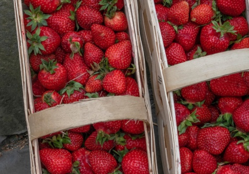 Na Broniszach początek sezonu owoców i warzyw spod osłon