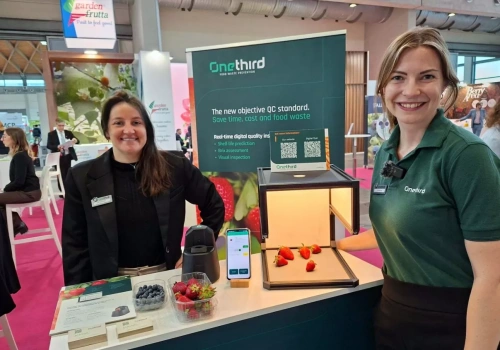 Skaner zamiast noża. Tak sprawdzisz jakość truskawek i borówek