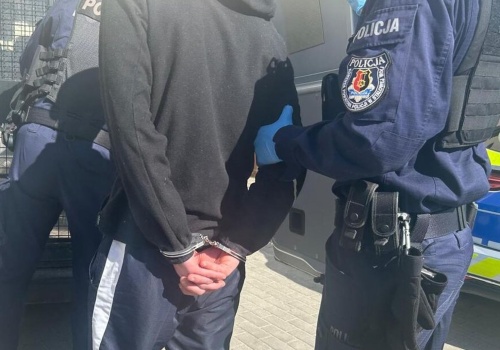 Zarzut szczególnego okrucieństwa znęcania się nad psem