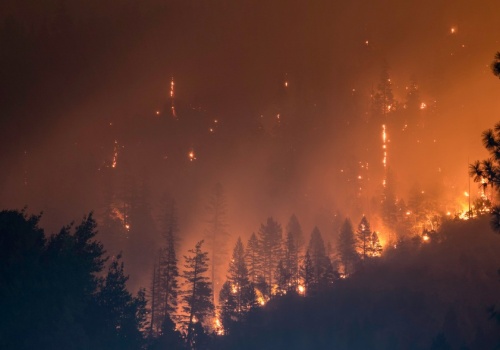 Wystarczy iskra. Alarmująca sytuacja pożarowa w pomorskich lasach