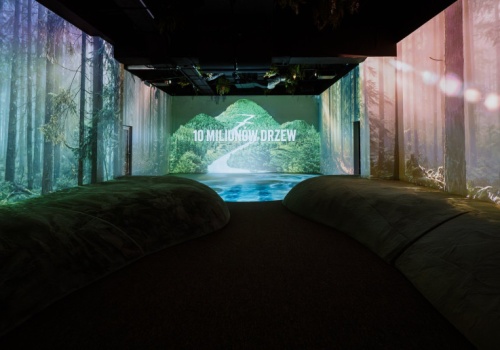 Poczuć naturę w centrum miasta. Tę wystawę trzeba zobaczyć