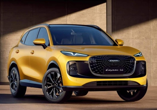 Lepas kolejną chińską marką w Polsce