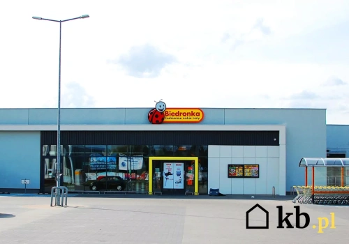 Biedronka szaleje z promocjami: 3+3 za darmo i drugi 90% taniej