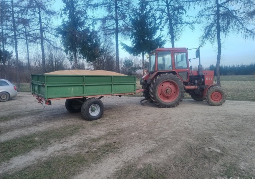 Ceny pszenicy 2026 stoją. Sprzedawać czy jeszcze czekać?