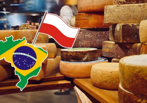 Polskie sery z 24 medalami w Brazylii. Roznieśliśmy światową elitę w pył