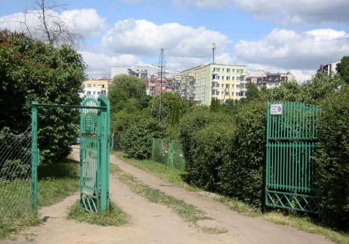 Ruszyły kontrole na ROD w Olsztynie. Na co muszą zwrócić uwagę działkowcy?