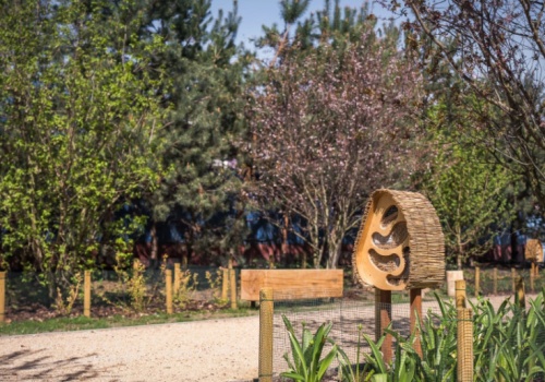 Warszawa ma nowy zielony plac. Posadzono ponad 18 tys. roślin