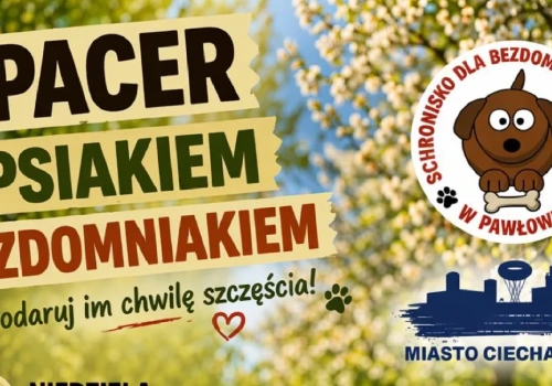 Wyjdź na spacer z psiakiem bezdomniakiem. Akcja wolontariuszy w Ciechanowie