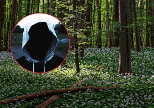 Był już karany i znowu to zrobił. 38-latek aresztowany za napaść na tle seksualnym