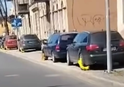 Mandat, mandat, mandat. Jeleniogórska straż miejska w swoim żywiole