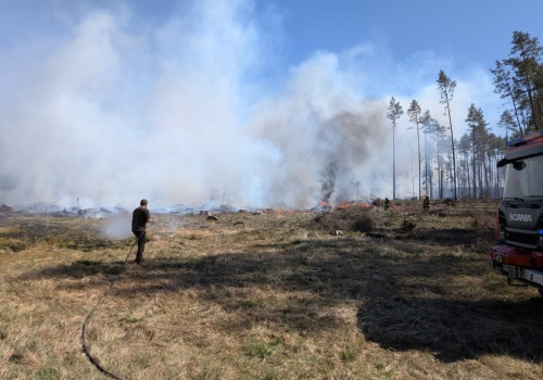 Ruciane-Nida. 20 zastępów walczy z pożarem 10 ha lasu