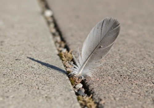 Znalazłeś je przypadkiem? Będziesz mieć szczęścia co niemiara