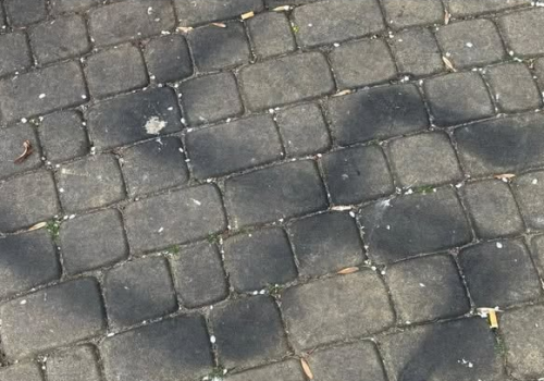 Ukrainiec gloryfikował na Podlasiu ideologię hitlerowską