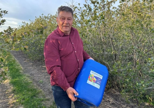 Nadchodzi fala przymrozków. Plantator zdradza, co robi przed nocą