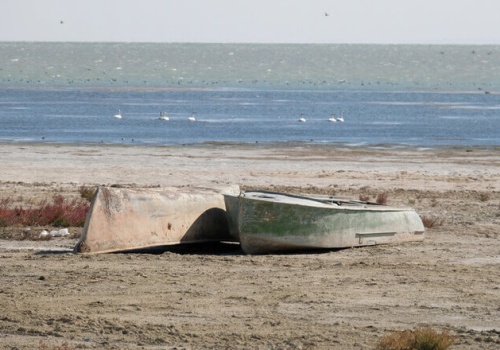 Skutki zdrowotne katastrofy ekologicznej Jeziora Aralskiego
