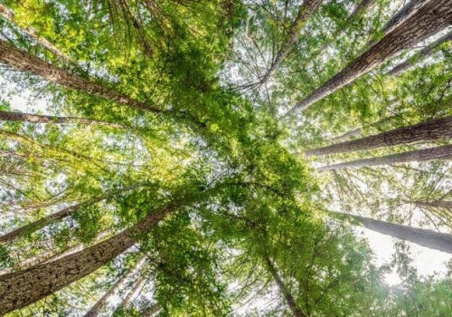 Rewizja elastyczności ram polityki klimatycznej UE po 2030 r.