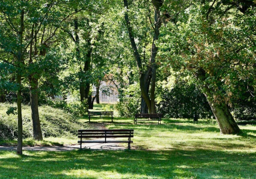 Rzeka Lamus wraca na powierzchnię. Łódź inwestuje w zielono-błękitną infrastrukturę