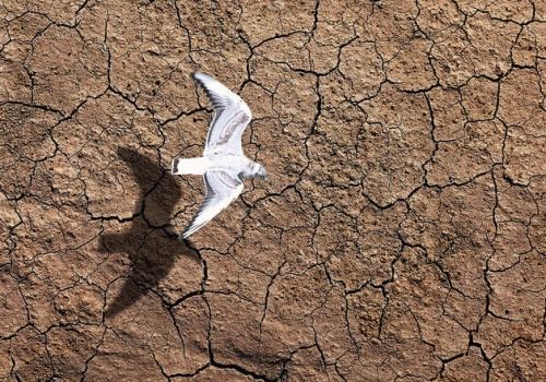 W roku 2026 czeka nas susza. Nie wystarczy o niej mówić – trzeba zatrzymać wodę