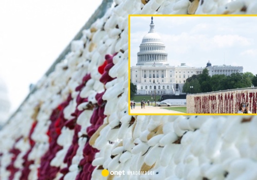 Tak wyrazili sprzeciw wobec działań Rosji. Tysiące pluszaków w centrum Waszyngtonu