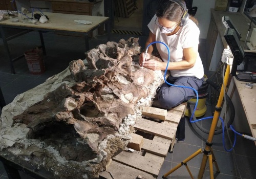 Ten olbrzym przemierzał kiedyś Patagonię. Szczątki ujawniły naturę gigantycznego dinozaura